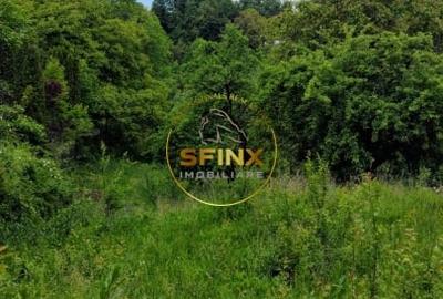 Teren intravilan cu deschidere la parau in Breaza - Strada Primaverii - 10
