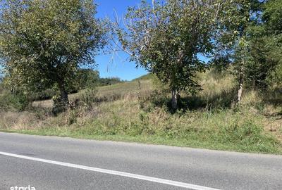 Spațiu comercial, în Cornățel