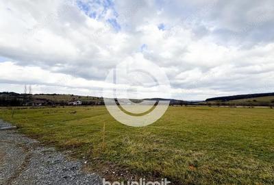 Teren intravilan in Tocile - 4354 m2 - 2 fronturi - oferta competitiva - 15