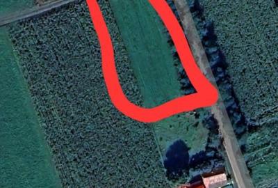 Spațiu comercial, în Soporu de Câmpie - 2