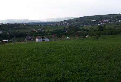 Teren de 4039 mp, în Borhanci - 5