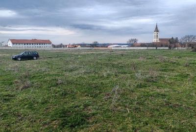 Teren de 2600 mp, în Apoldu de Sus - 4