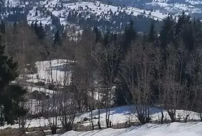 Teren de 3900 mp, în Sud - 6