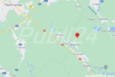 Teren de 5000 mp, în Frumușani - 1