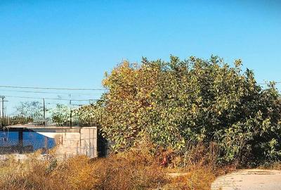 Spațiu comercial, în Chiscani - 3