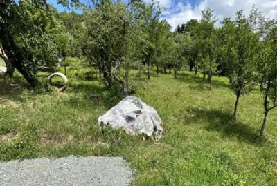 Teren de 372 mp, în Valea Roșie - 3