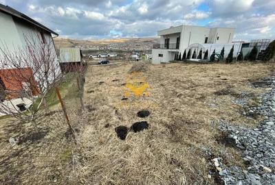 Teren, Intravilan, 487mp Chinteni, Certificat de Urbanism - 1