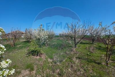 Casă individuală cu 3 camere cu Teren 2175 Mp în Mailat - 16
