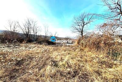 Teren 1500 mp, Bucium, la asfalt, PUZ, loturi - 3