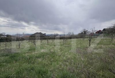 Casa de vanzare, zona deosebita , teren generos,Sali? - 3