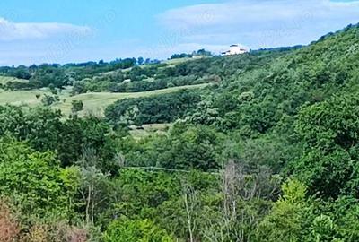 Teren de 5000 mp, în Boboci - 3
