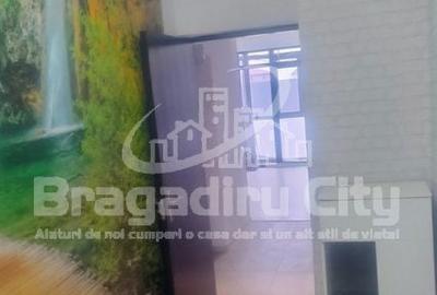 Apartament cu 2 camere în Alexandriei - 3