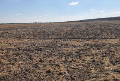 Teren de 7802 mp, în Domnești