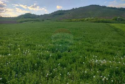 Teren de 2983 mp, în Târnăveni - 2