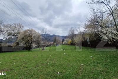 Teren de 4300 mp, în Baciu - 3