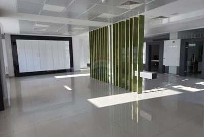 Hala plus spatiu birouri, zona Strada Vrancei - 7