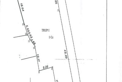 Teren 1200 mp ultracentral Ploiesti, zona Bulevardul Victoriei, ideal investitie - 2