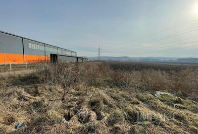 Teren Industrial 5800 mp cu PUD pentru 4 Hale – Centura Apahida - 8