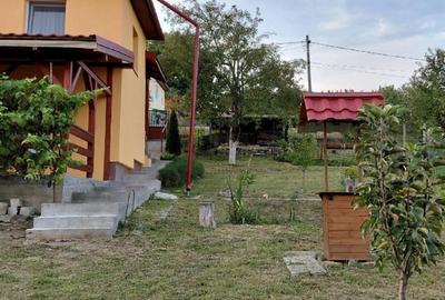 Casă individuală cu 4 camere cu Teren 1997 Mp în Mica - 10