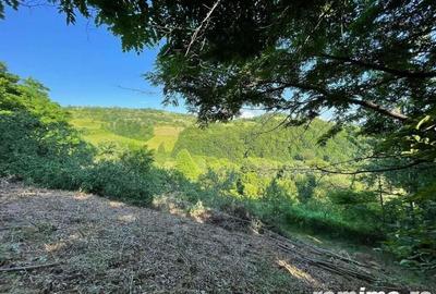 Teren zona turistica Rosia - 6