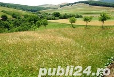 Teren de 6825 mp, în Ortelec