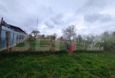 Casa de caramida, 5 camere, 129mp, teren 1439mp, zona Calea Casa de caramida, 5 camere, 129mp, teren 1439mp, zona Calea - 2