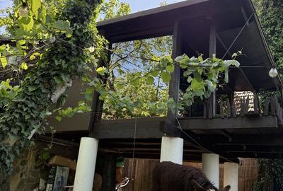 Casă cu 4 camere în Zădăreni - 3