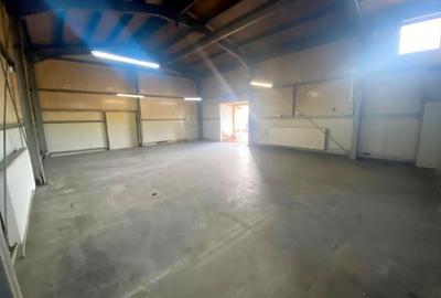 Spațiu industrial, de 132 mp, în Săcălaz - 5