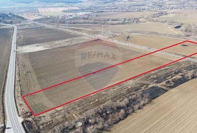 Teren de 10168 mp, în Brateiu - 5