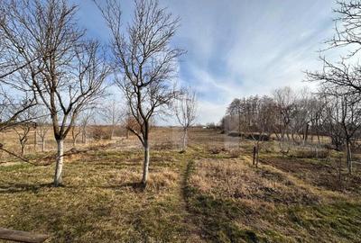 Casa de vanzare, cu 2 camere, 65 mp, Oradea - 1