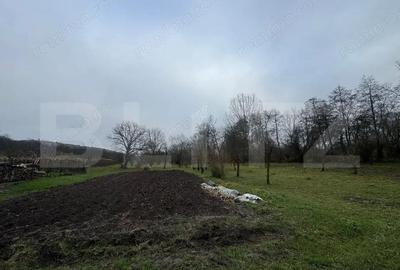 Casa cu 2 camere in Densus, 20 km de Manastirea Prinslop - 6