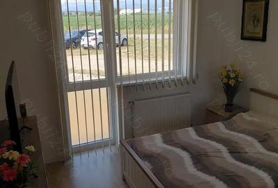 Apartament cu 2 camere decomandat în Turnișor - 1