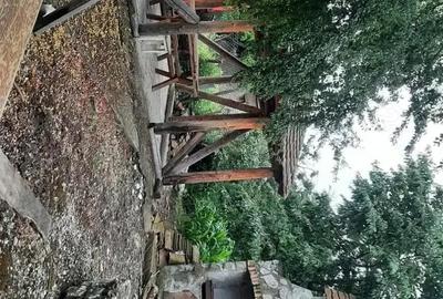 Casă cu 3 camere în Dalboșeț - 5