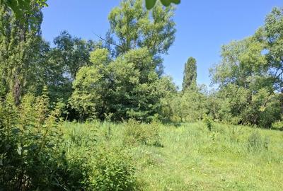 Spațiu comercial, în Ghirdoveni - 4