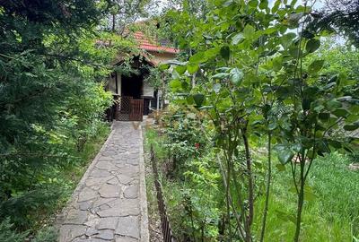 Casă cu 4 camere cu Teren 950 Mp în Berceni