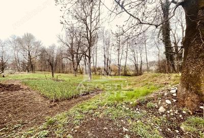 Casă cu 2 camere cu Teren 2000 Mp în Laz - 3