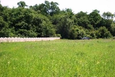 Teren în Periș - 3