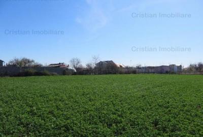 Teren constructii zona Lacu Sarat, suprafata 3393 mp, 22 eu - 1