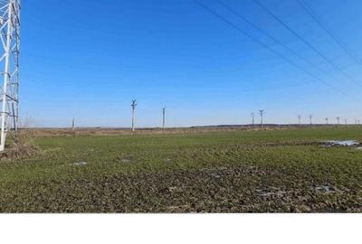 Teren de 29300 mp, în Stâlpu - 2