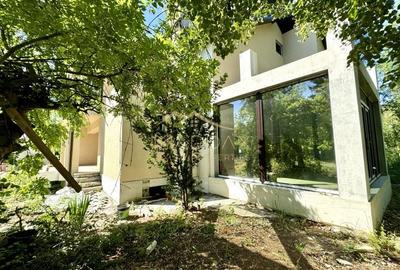 Vila cu 13 camere *4000mp teren* / Piscina / Snagov - 8