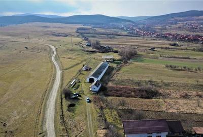 Teren intravilan de 3408 mp, în Voivozi (Popești) - 7