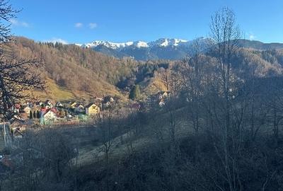 Teren de vanzare intravilan Șimon Bran - 4