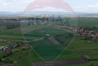 Teren agricol extravilan de 25100 mp, în Prejmer - 7
