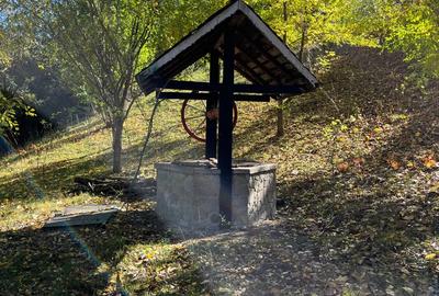 Proprietate Valenii de Munte - 6