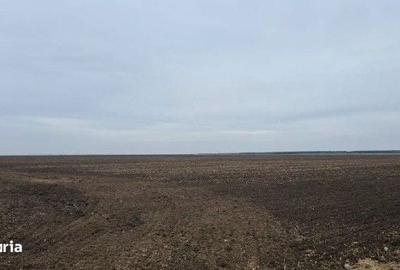 Spațiu comercial, în Gălbinași