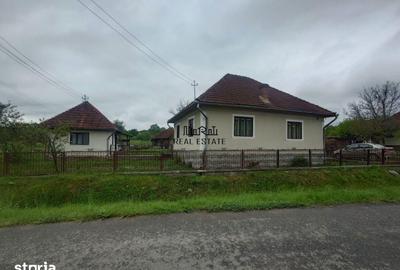 Casă cu 4 camere cu Teren 2651 Mp în Baia de Criș - 11