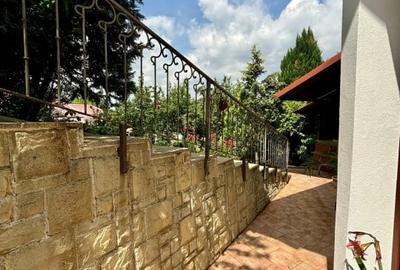 Casă individuală cu 5 camere cu Teren 10000 Mp în Ghioroc - 19