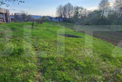 Teren de 6659 mp, în Nisipoasa - 4