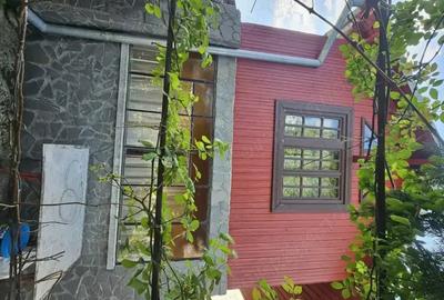Casă cu 4 camere cu Teren 1300 Mp în Dițești - 8