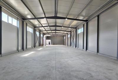 Hala noua | Afumati DN2 | 580mp - 1